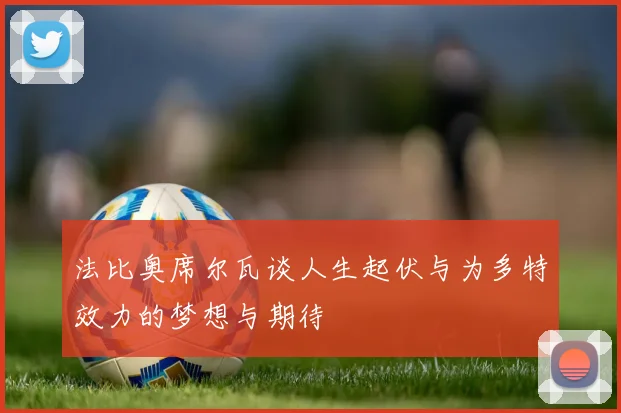 法比奥席尔瓦谈人生起伏与为多特效力的梦想与期待