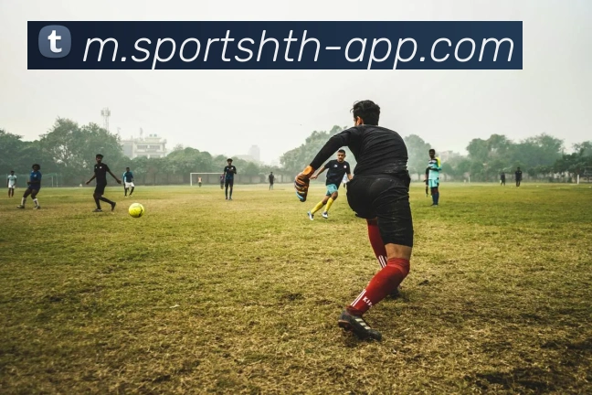 华体会体育APP 封面图